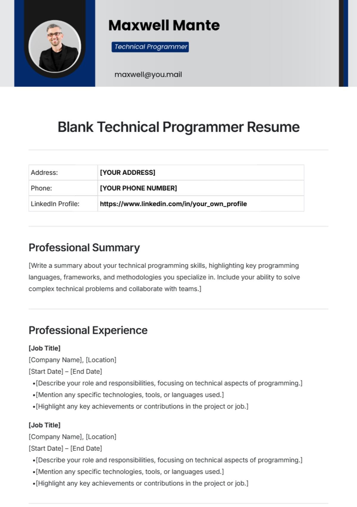 Blank Technical Programmer Resume Template - Edit Online & Download