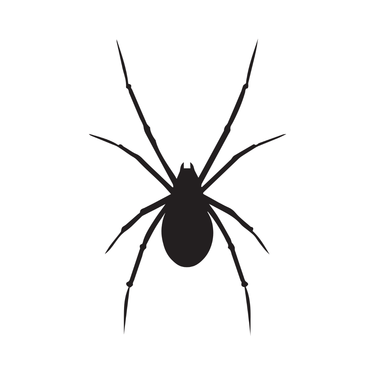 Spider Silhouette Clipart