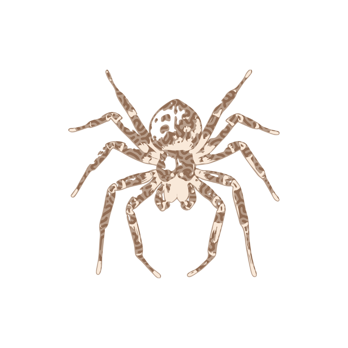 Abstract Spider Clipart  - Edit Online | Template.net