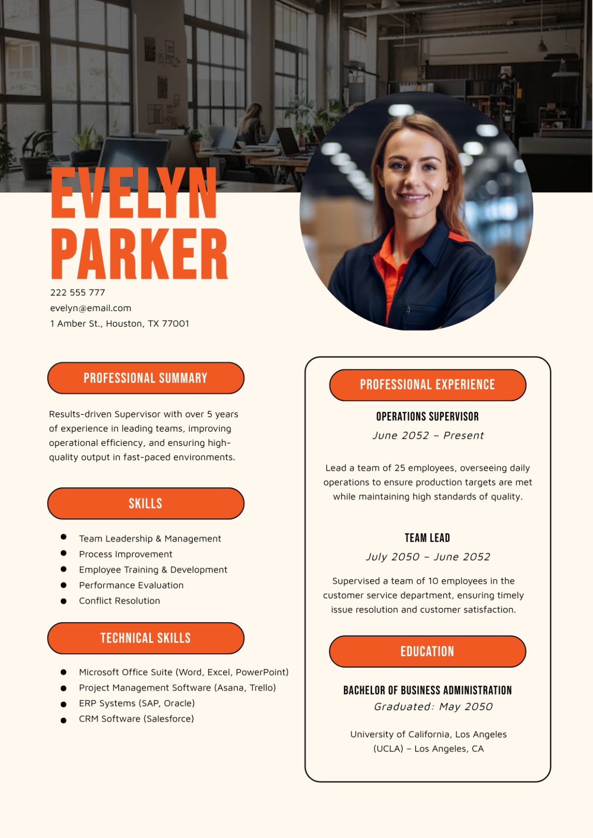 Modern Professional Resume Template - Edit Online & Download