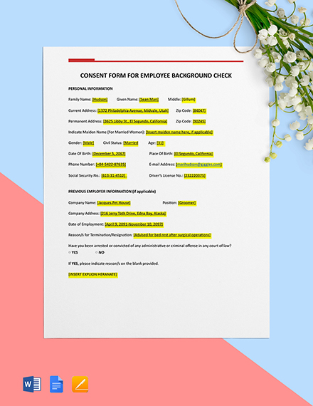Employee Background Check Format