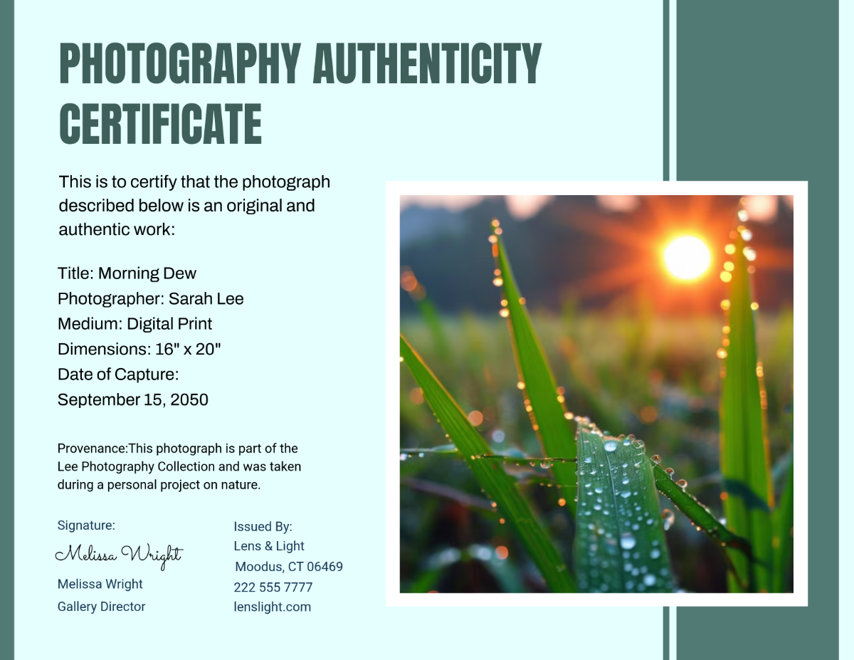 Photography Authenticity Certificate Template - Edit Online & Download