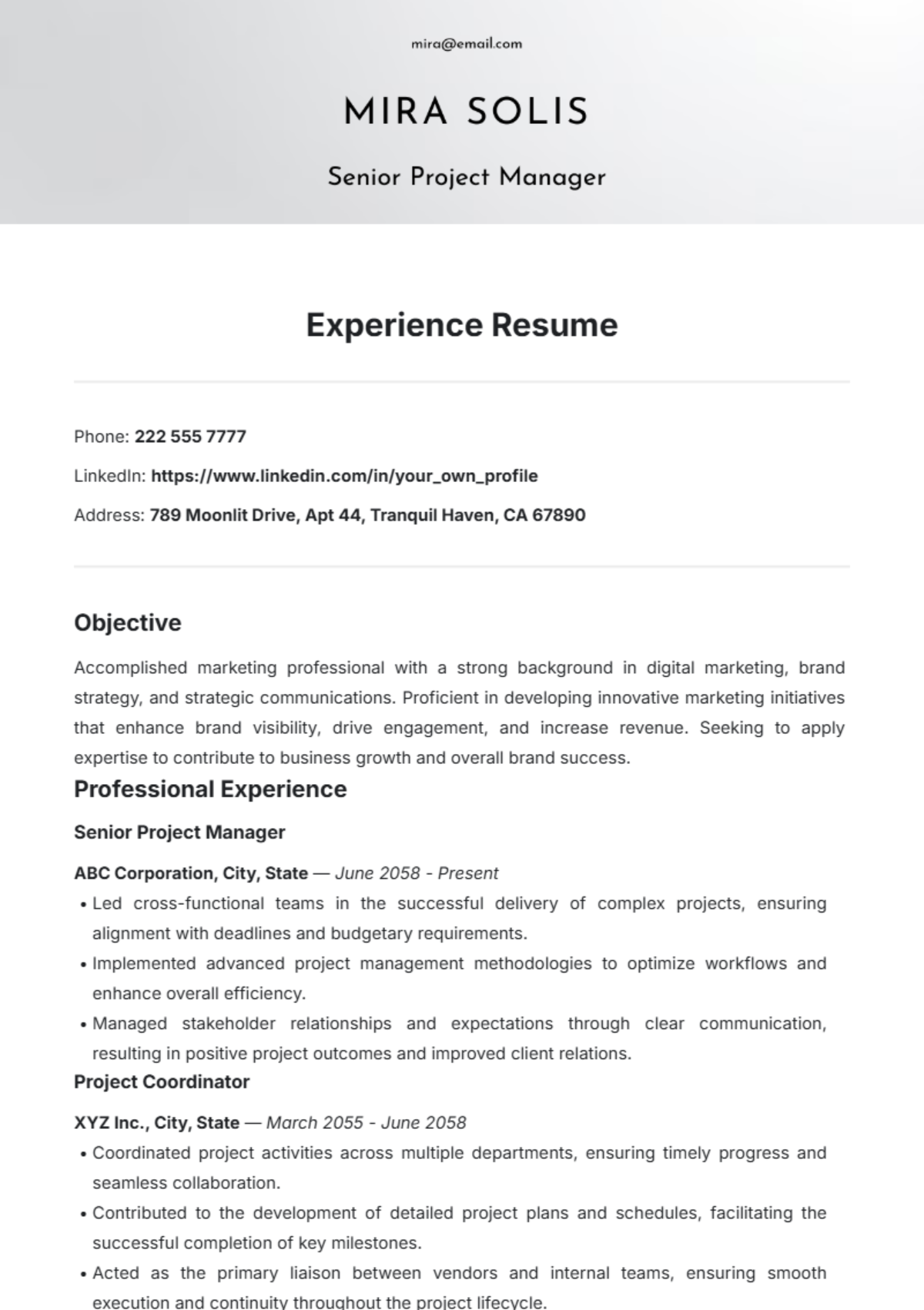 Experience Resume Template - Edit Online & Download