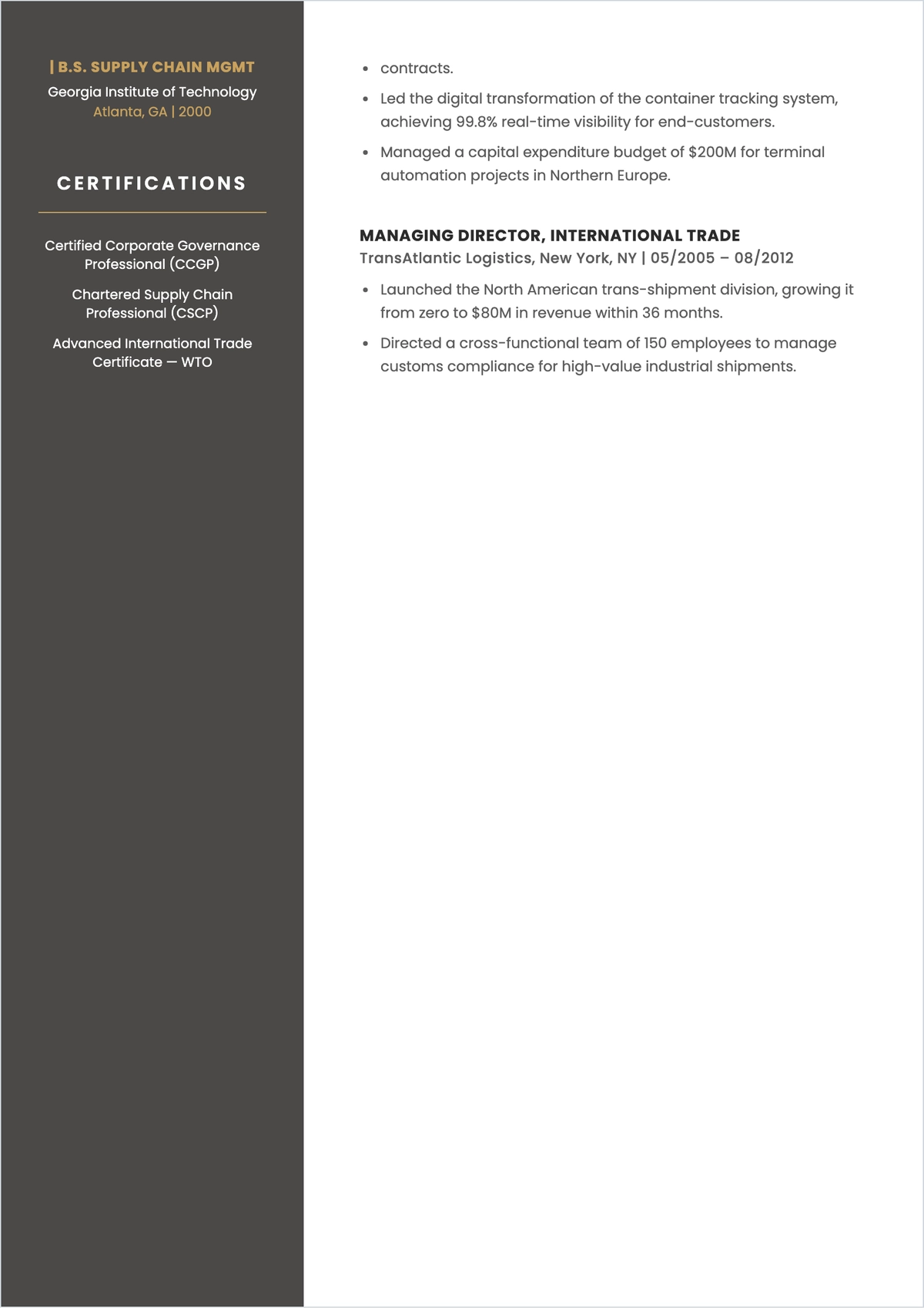 Free Blank CEO Experience ATS Resume Template, AI Resume Builder