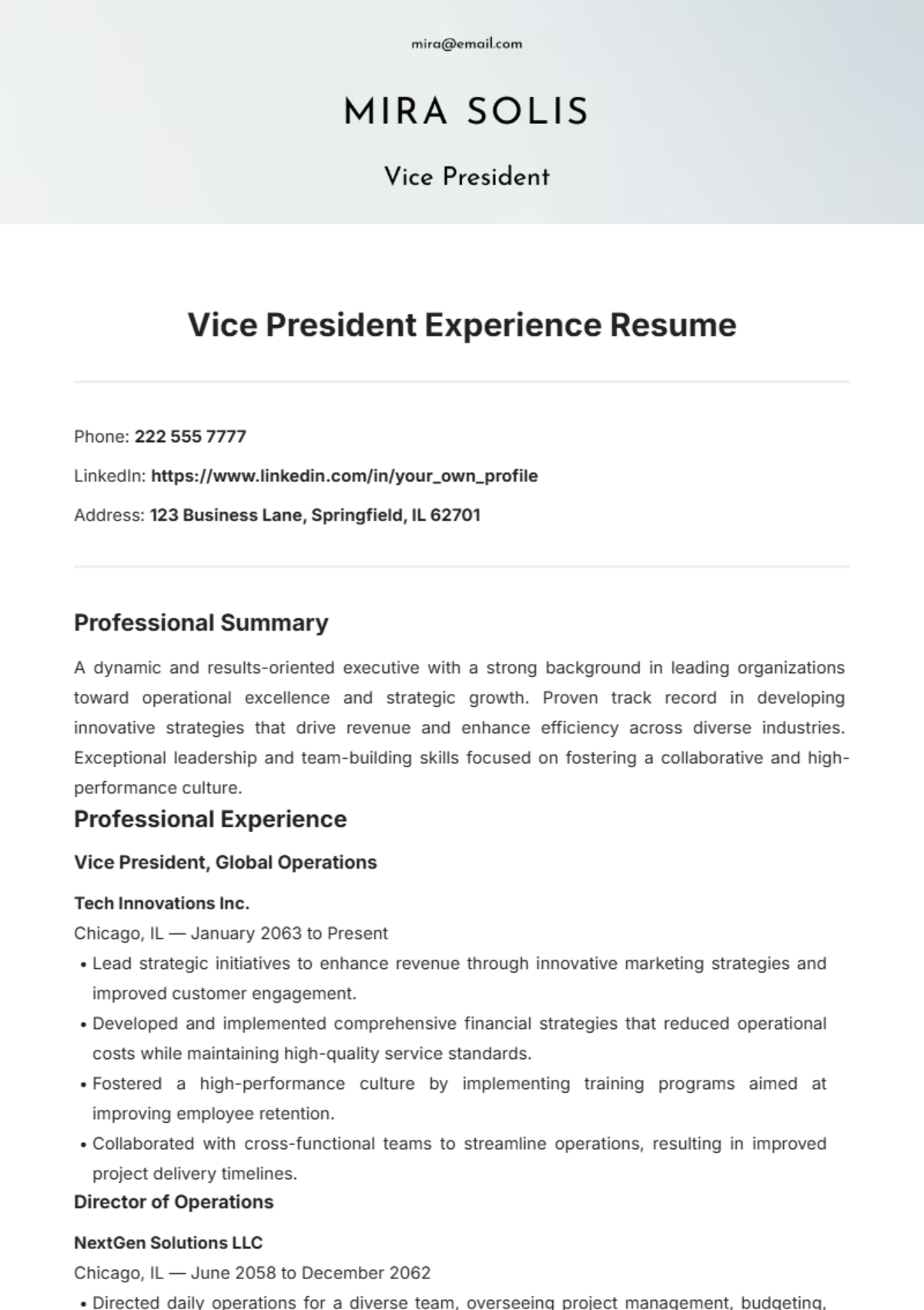 Free Vice President Experience Resume Template - Edit Online & Download ...