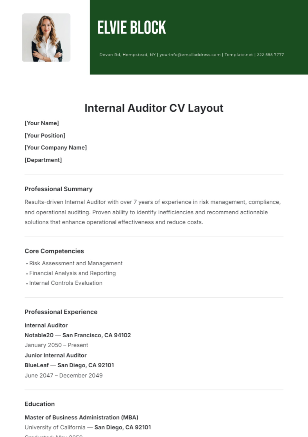 Internal Auditor CV Layout Template - Edit Online & Download