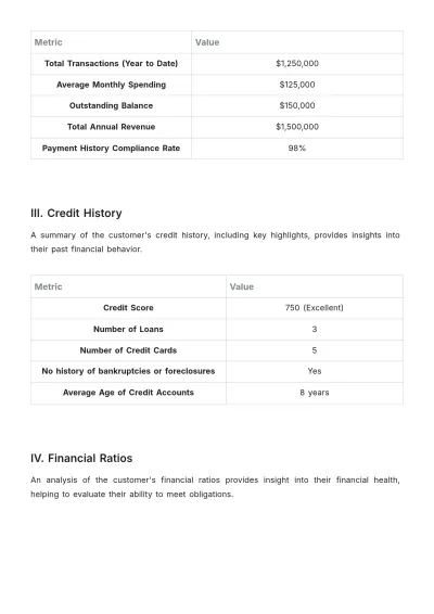 Free Customer Financial Report Outline Template to Edit Online