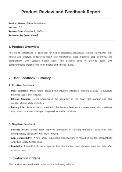 Free Product Review and Feedback Report Template to Edit Online