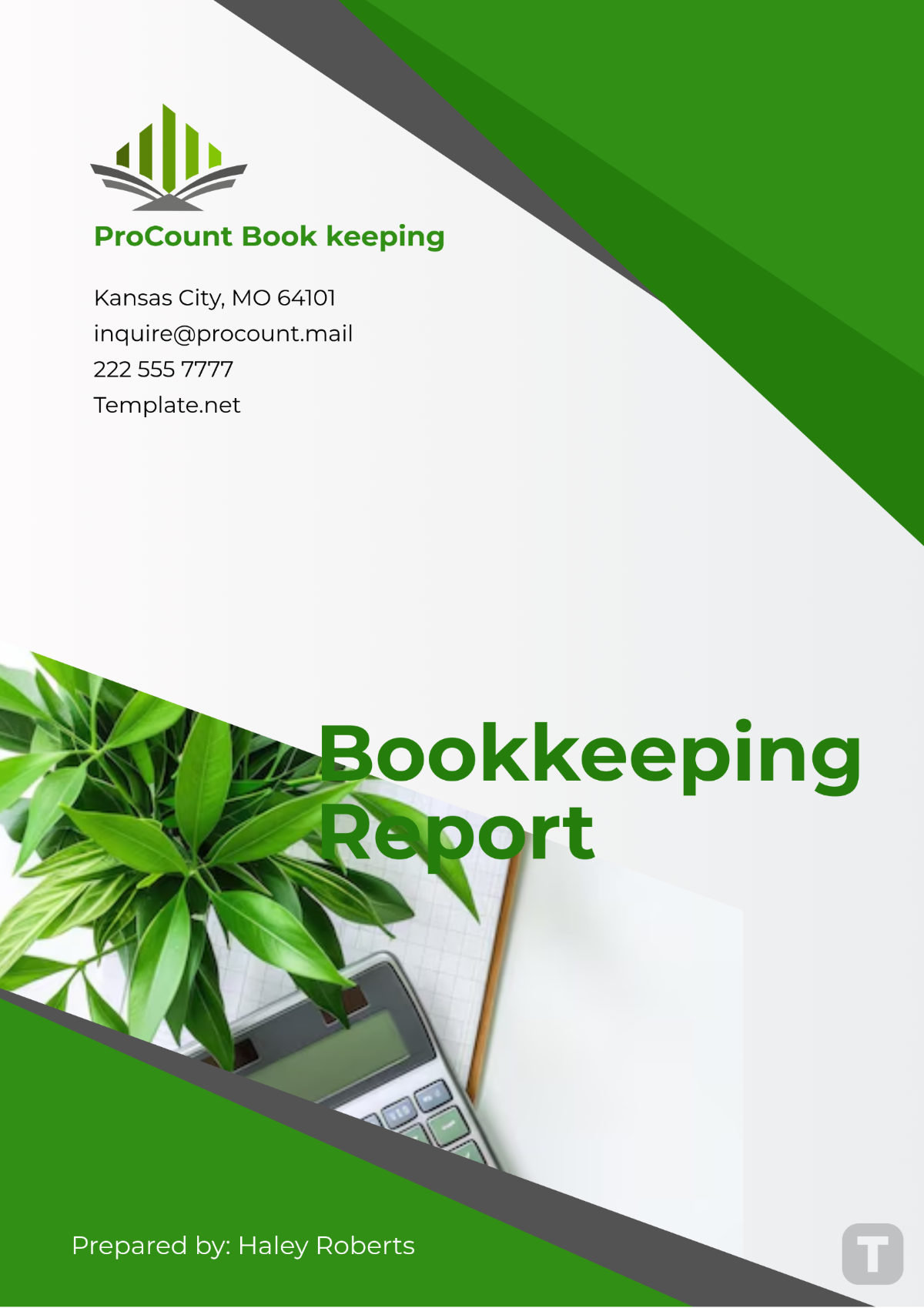 Bookkeeping Report Template - Edit Online & Download