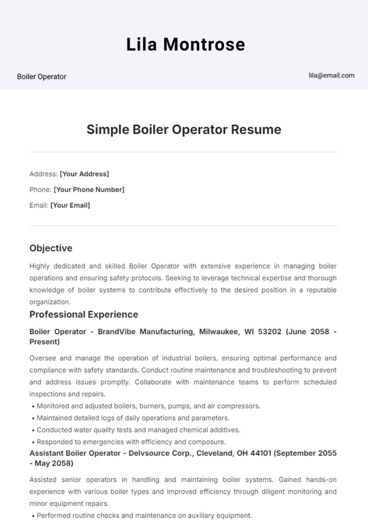 Simple Boiler Operator Resume Template - Edit Online & Download