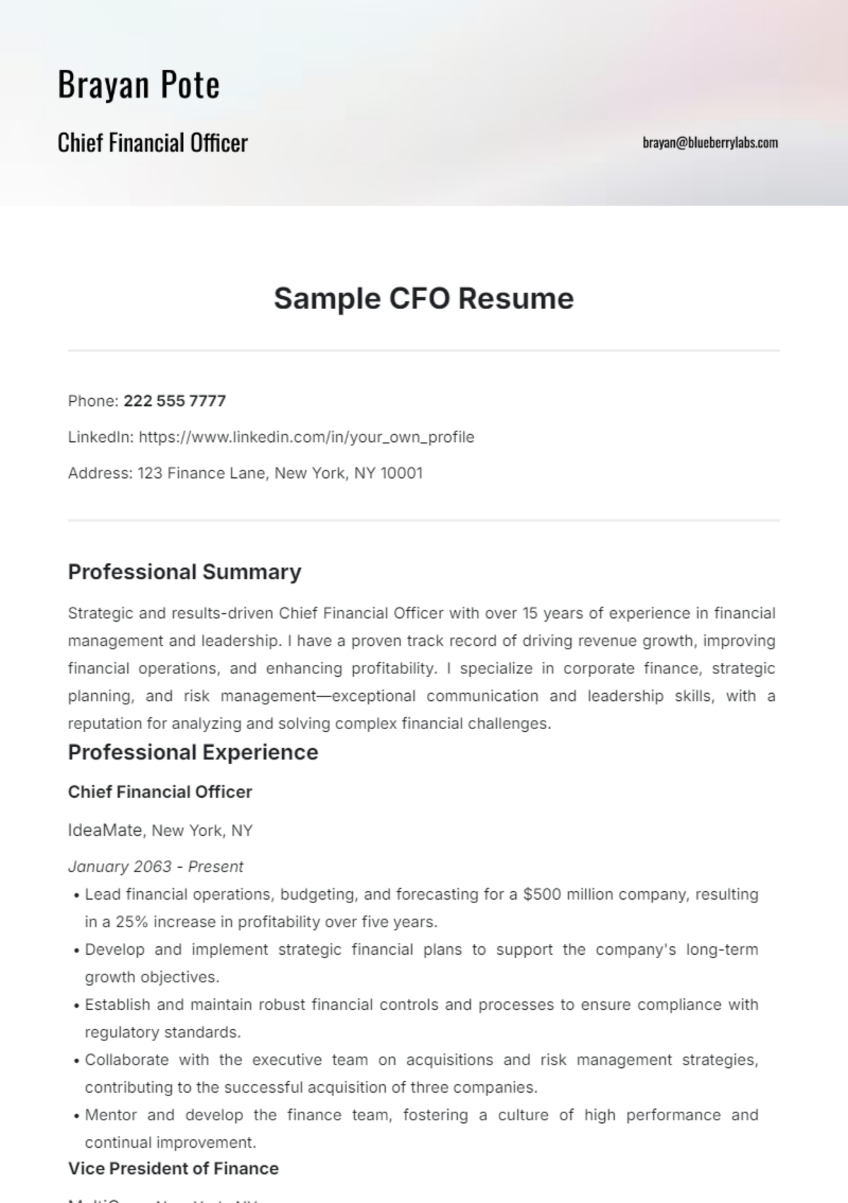 Sample CFO Resume Template - Edit Online & Download