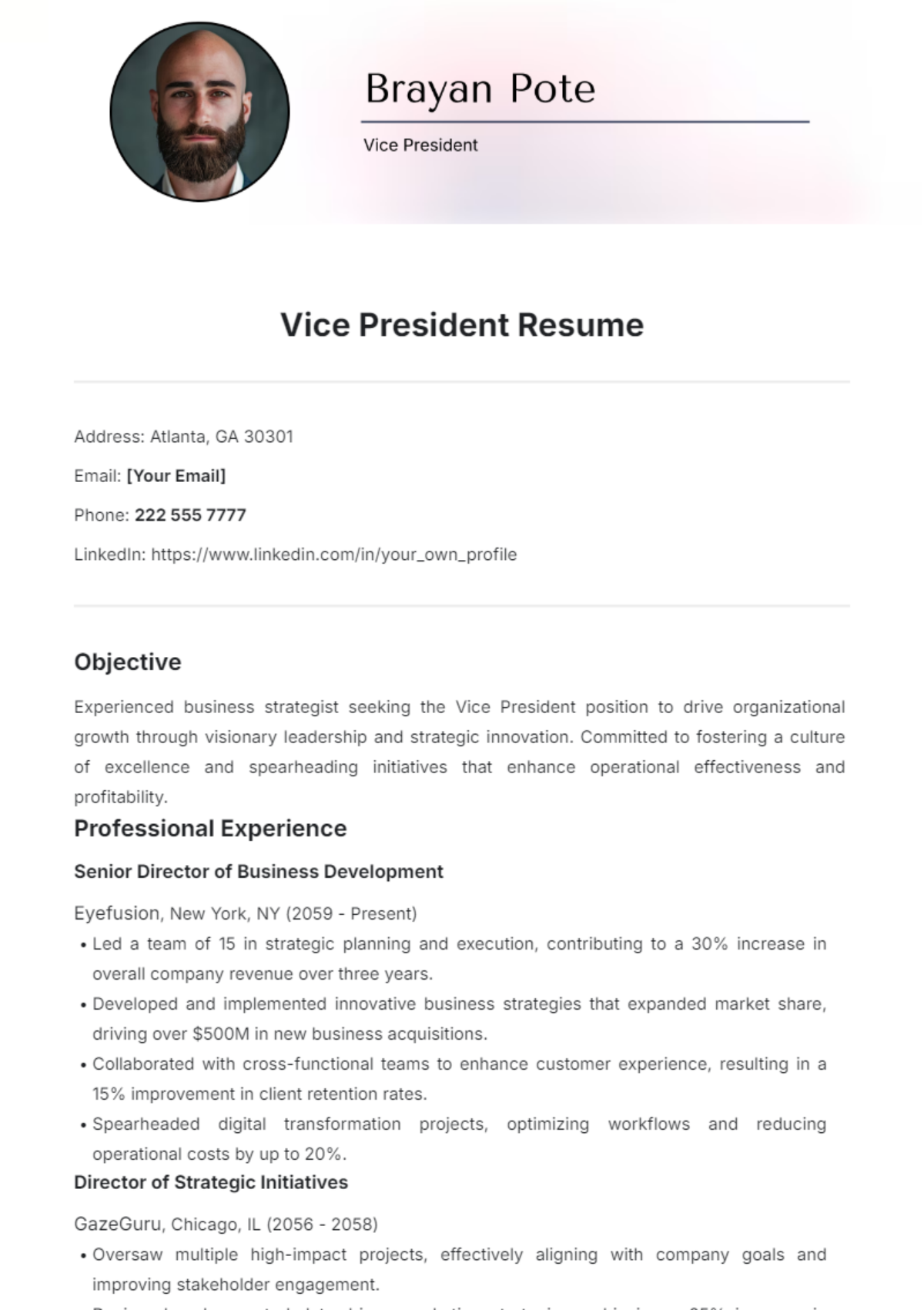 Vice President Resume Template - Edit Online & Download