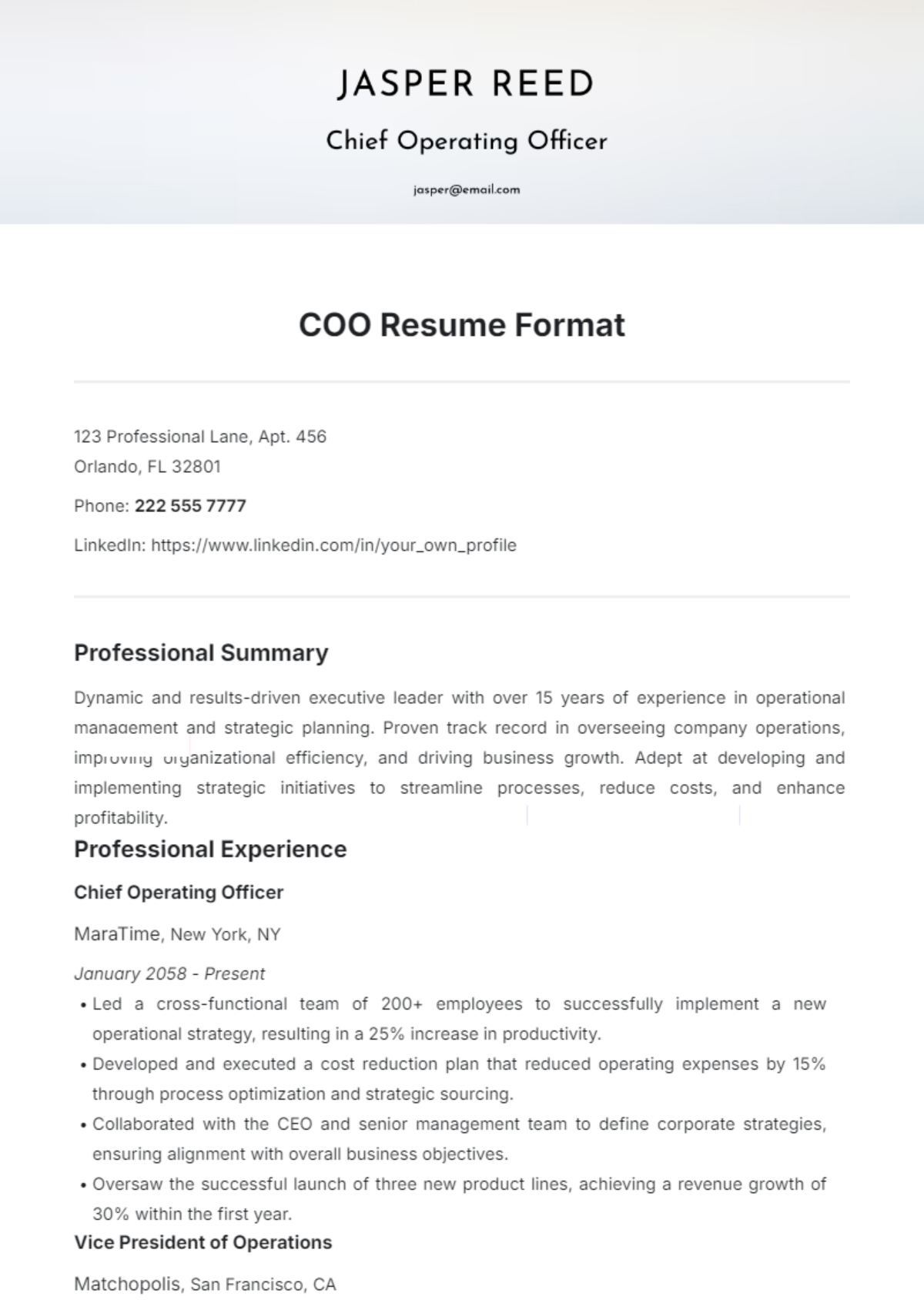 COO Resume Format Template - Edit Online & Download