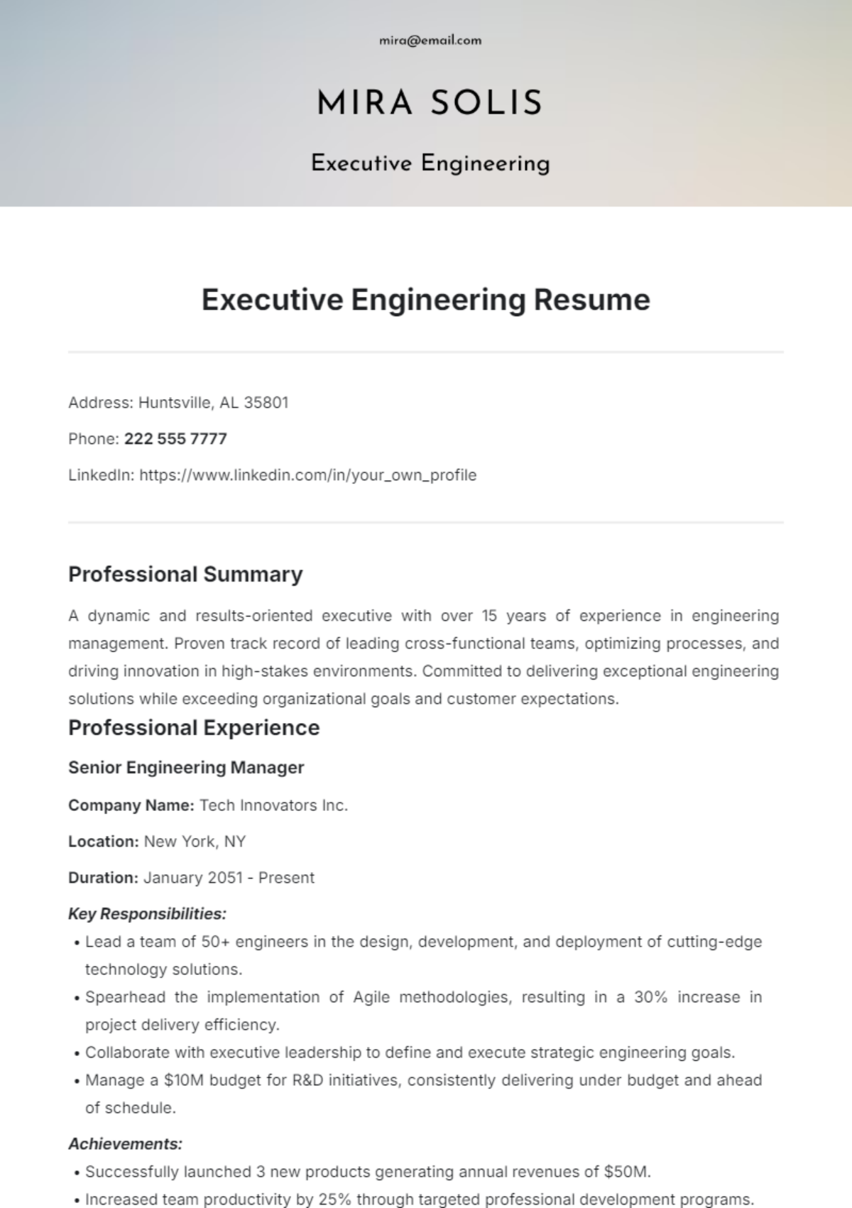 Executive Engineering Resume Template - Edit Online & Download