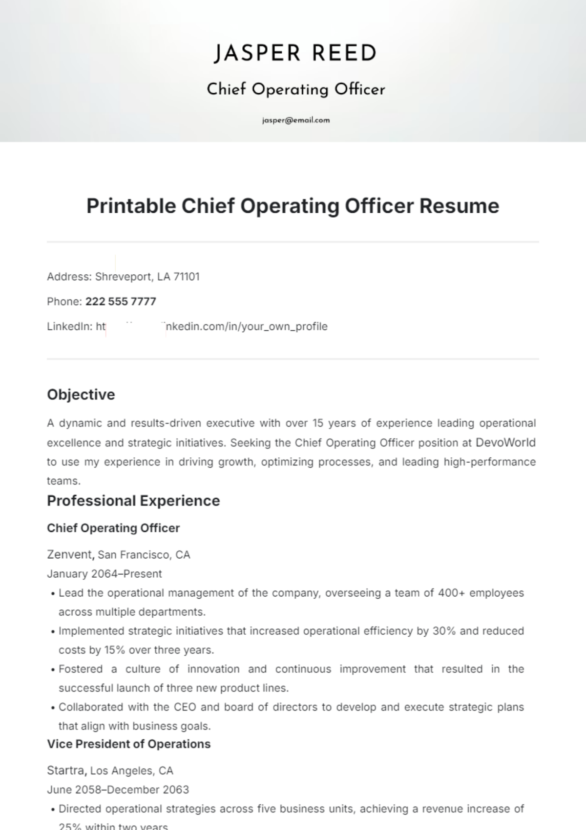 Printable Chief Operating Officer Resume Template - Edit Online & Download