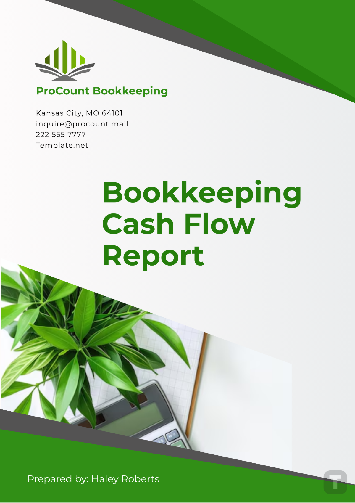 Bookkeeping Cash Flow Report Template - Edit Online & Download