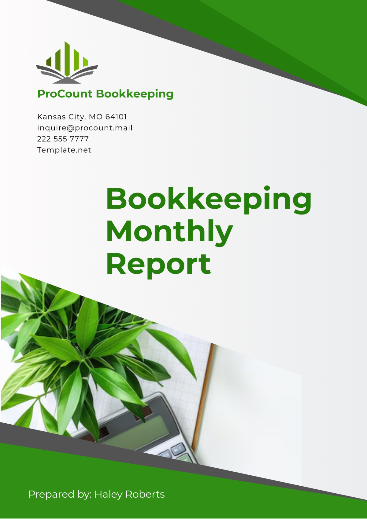 Bookkeeping Monthly Report Template - Edit Online & Download