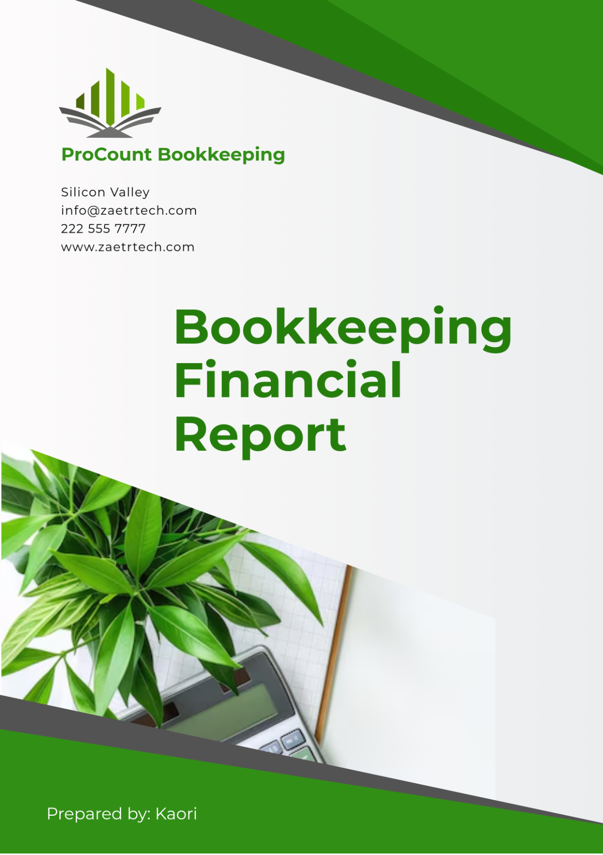 Bookkeeping Financial Report Template - Edit Online & Download