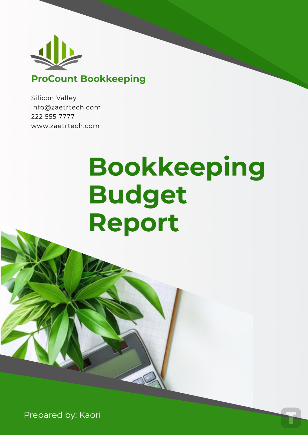 Bookkeeping Budget Report Template - Edit Online & Download