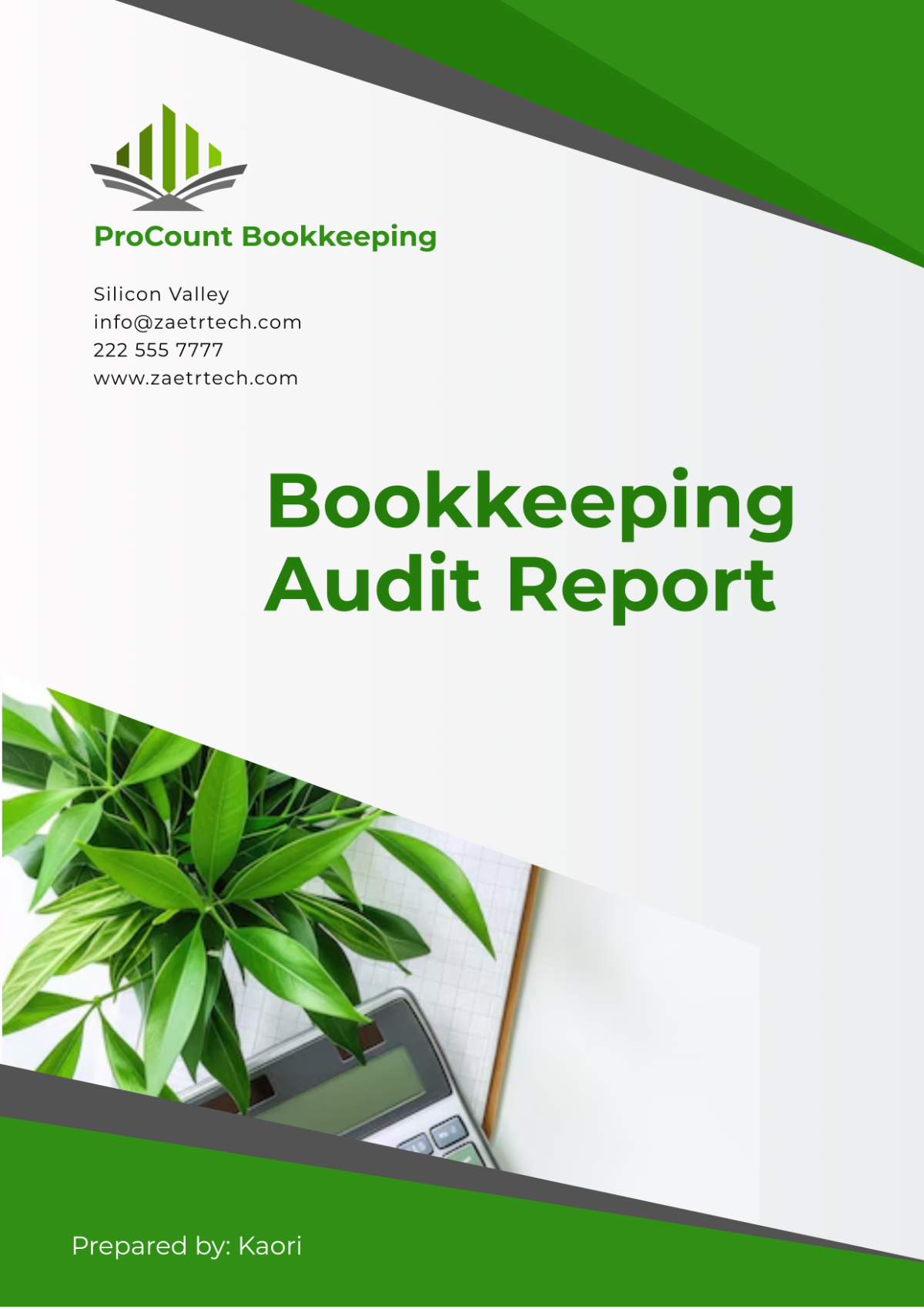 Bookkeeping Audit Report Template - Edit Online & Download