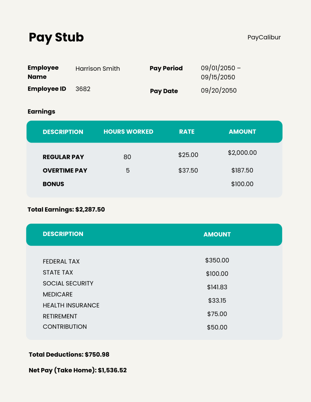 Professional Pay Stub