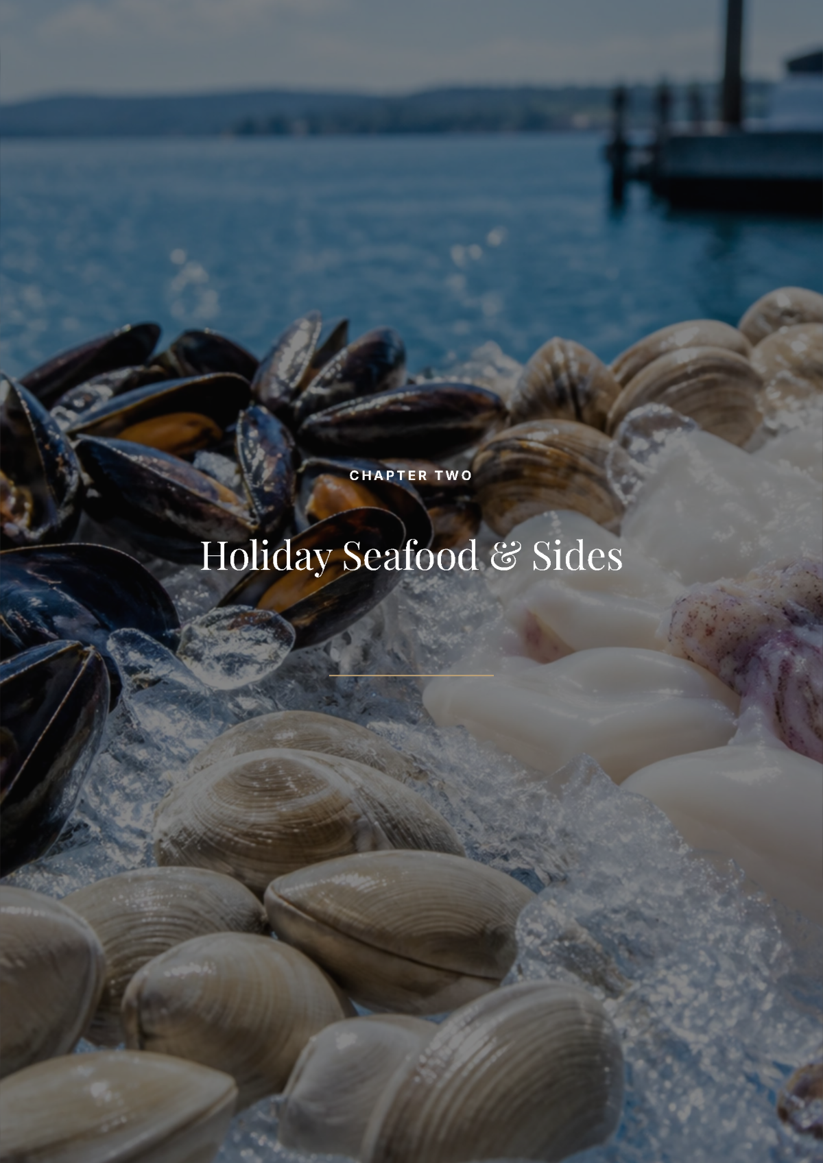 Free Leather Cookbook Template to Edit Online