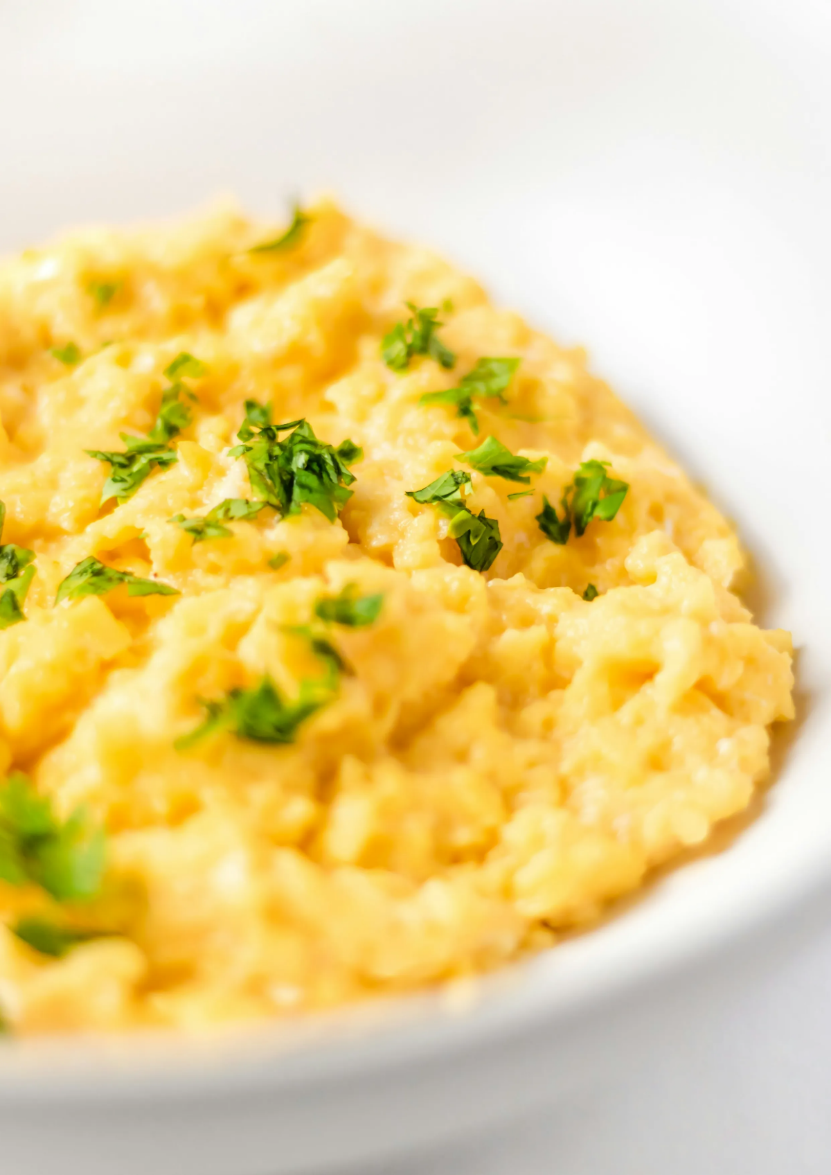 Free Leather Cookbook Template to Edit Online Free Leather Cookbook Template to Edit Online