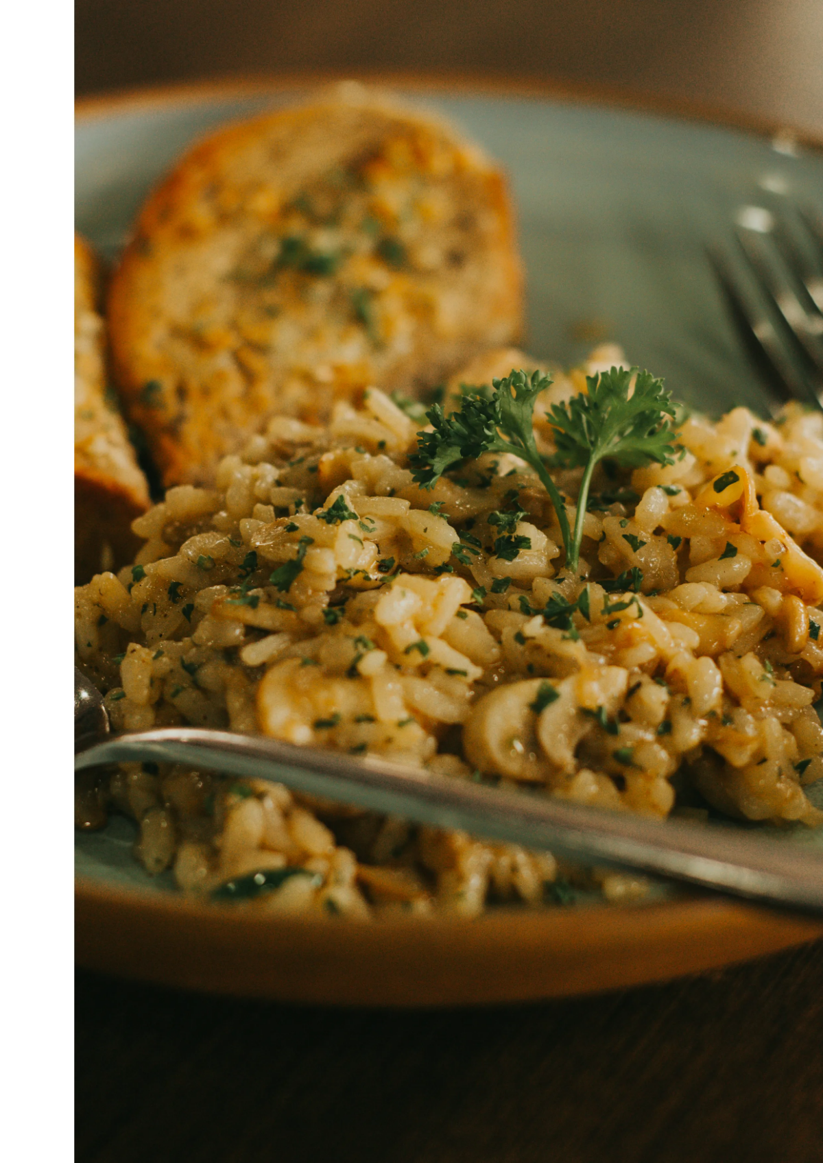 Free Professional Cookbook Template to Edit Online Free Professional Cookbook Template to Edit Online