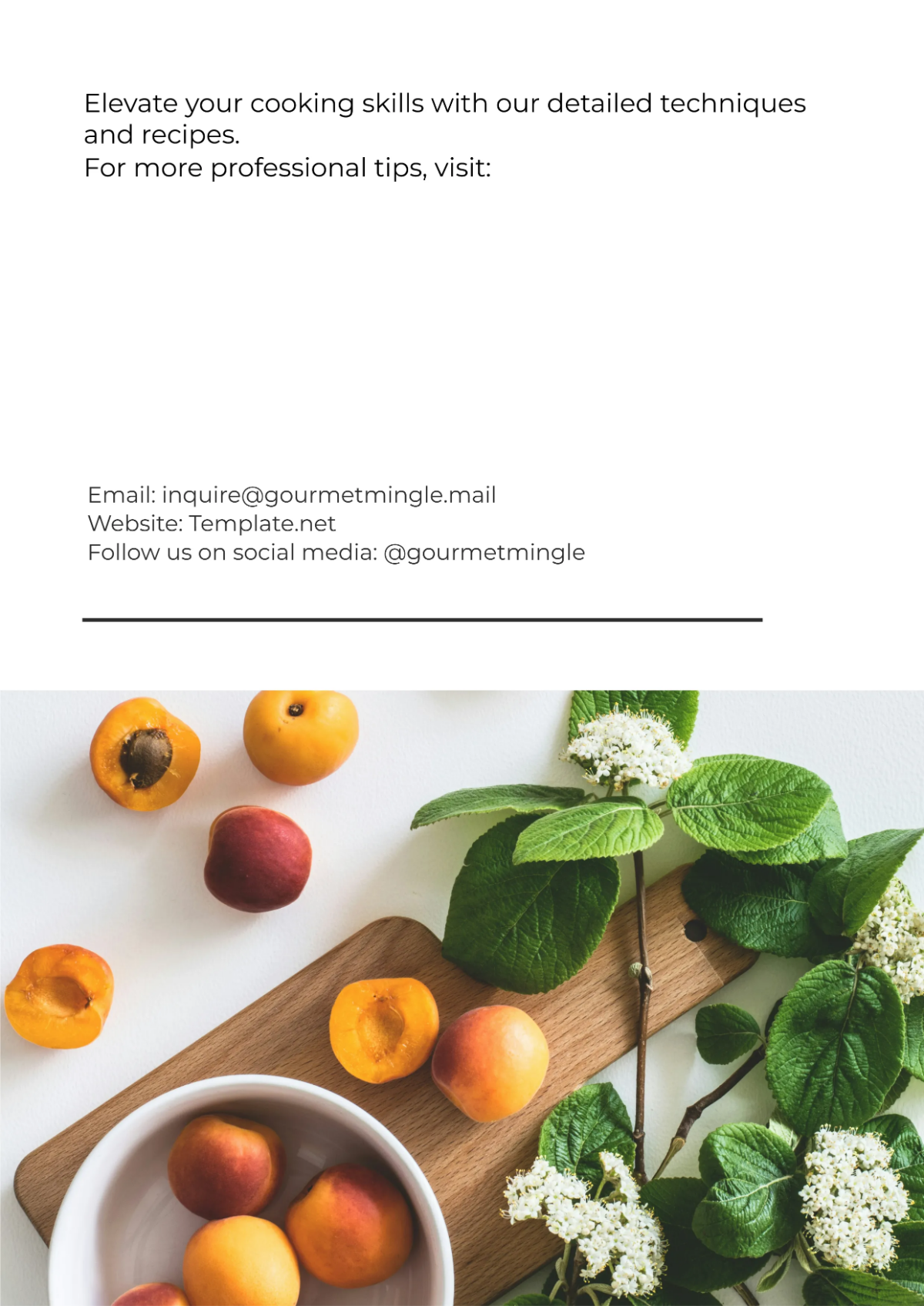 Free Professional Cookbook Template to Edit Online Free Professional Cookbook Template to Edit Online