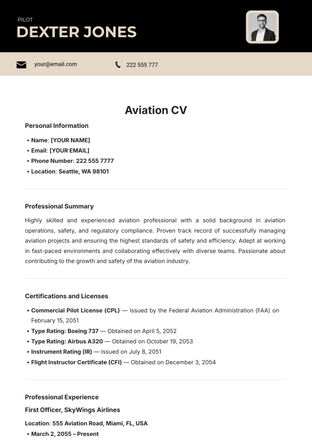 Aviation CV Template - Edit Online & Download