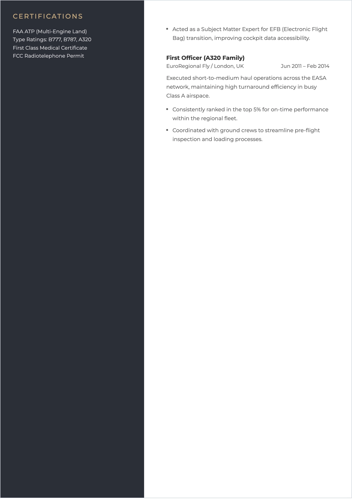 Free Aviation Professional ATS Resume Template, AI Resume Builder