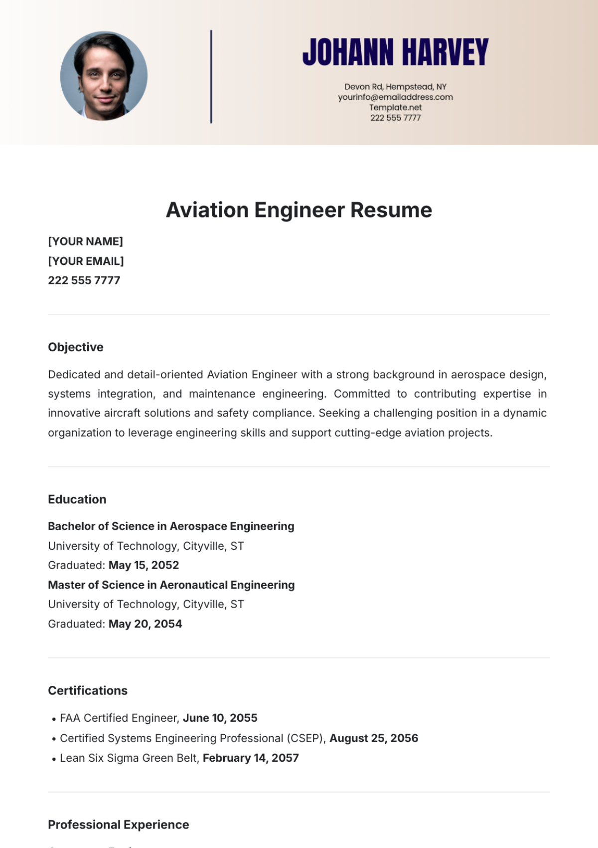 Aviation Engineer Resume Template - Edit Online & Download