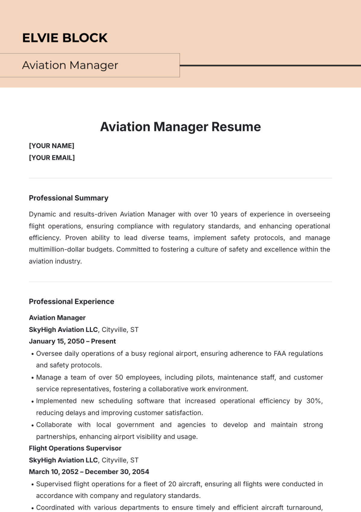 Aviation Manager Resume Template - Edit Online & Download