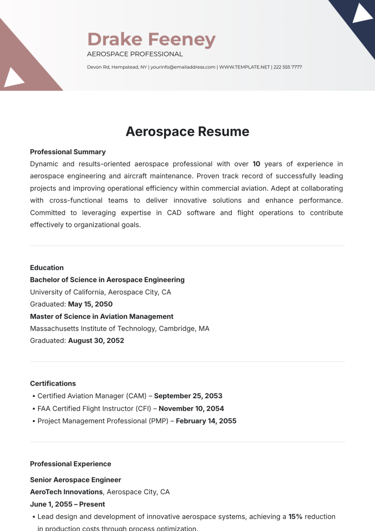 Aerospace Resume Template - Edit Online & Download