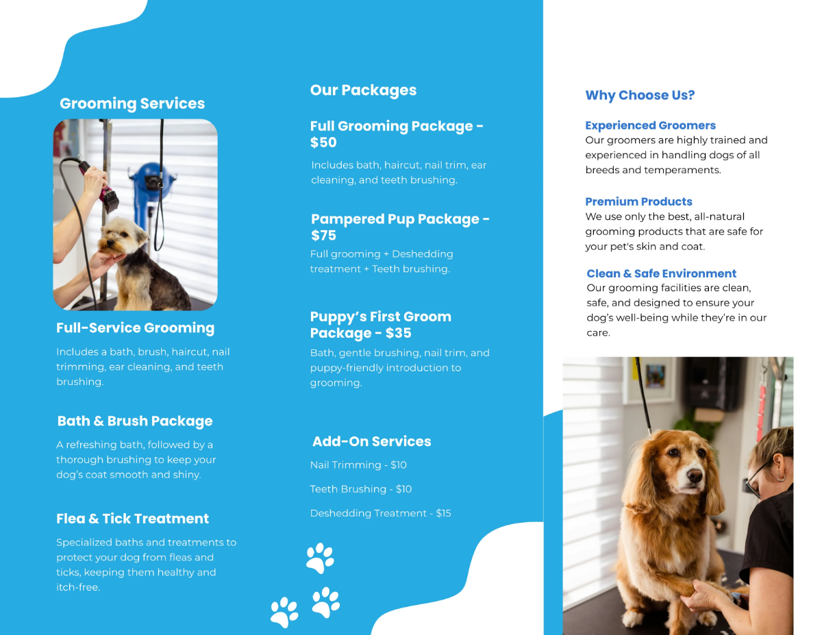 Free Dog Grooming Brochure Template to Edit Online