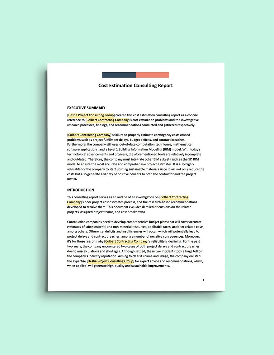Management Consulting Report Template