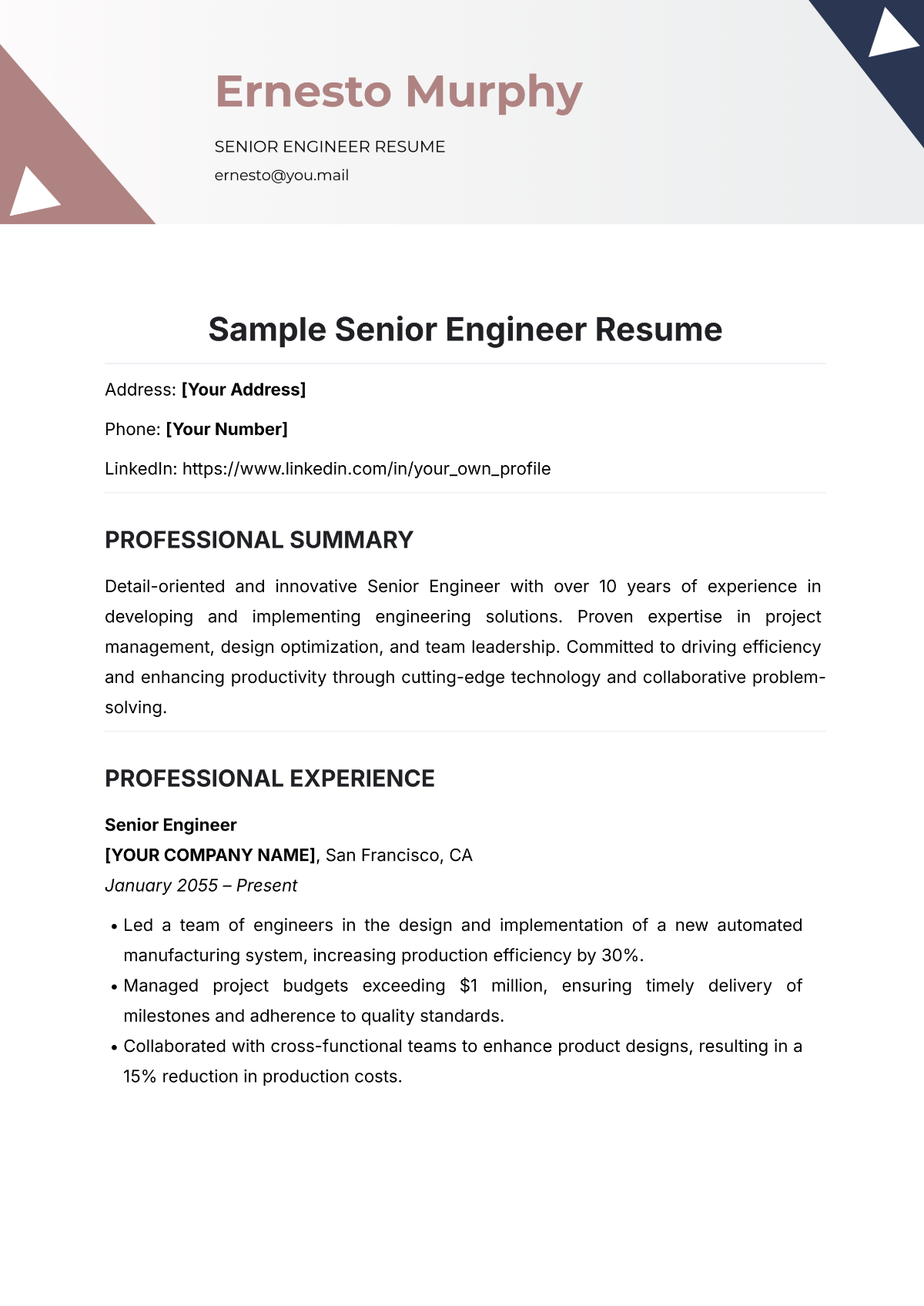 Sample Senior Engineer Resume Template - Edit Online & Download