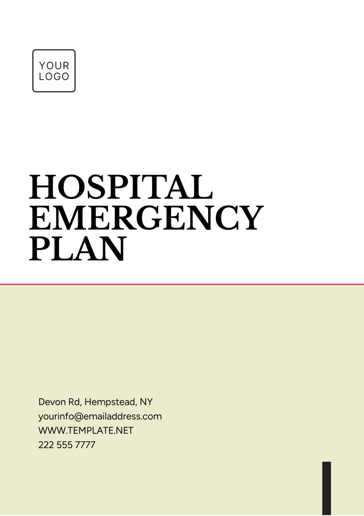 Hospital Emergency Plan Template - Edit Online & Download