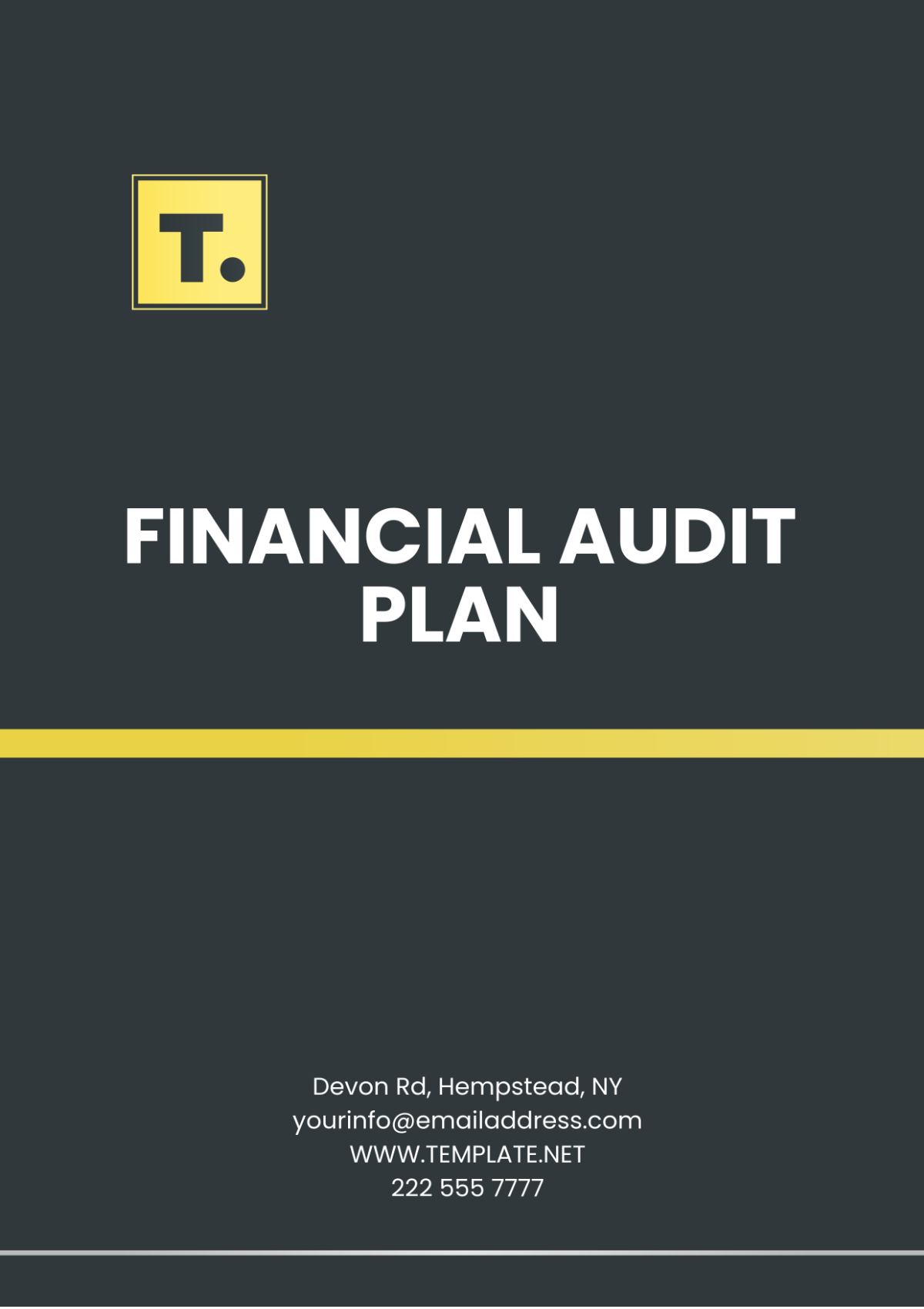 Financial Audit Plan Template - Edit Online & Download