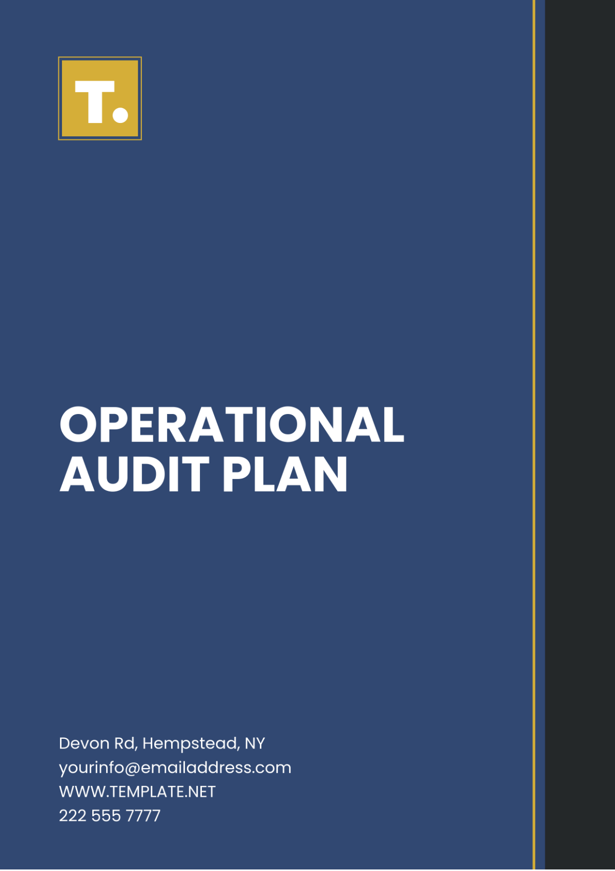 Operational Audit Plan Template - Edit Online & Download