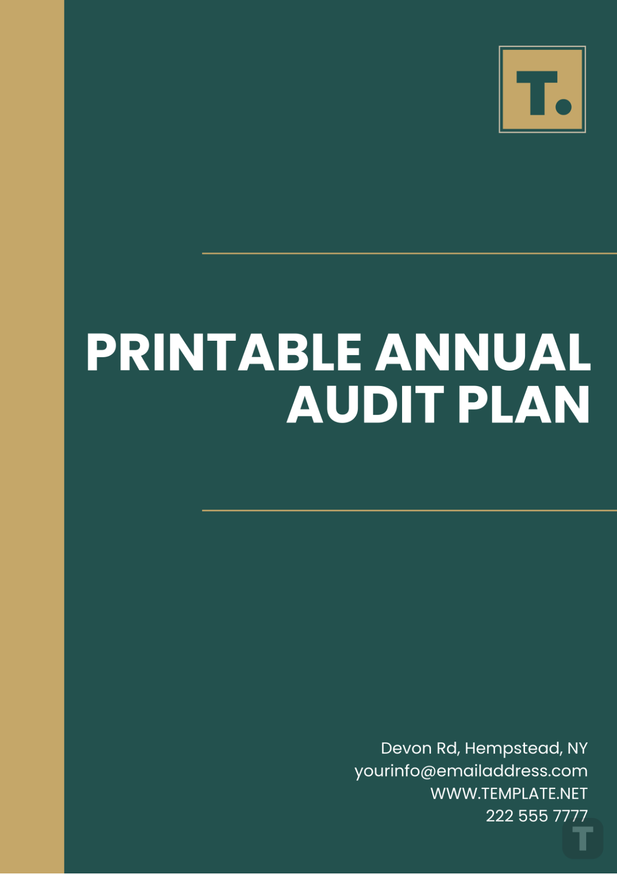 Printable Annual Audit Plan Template - Edit Online & Download