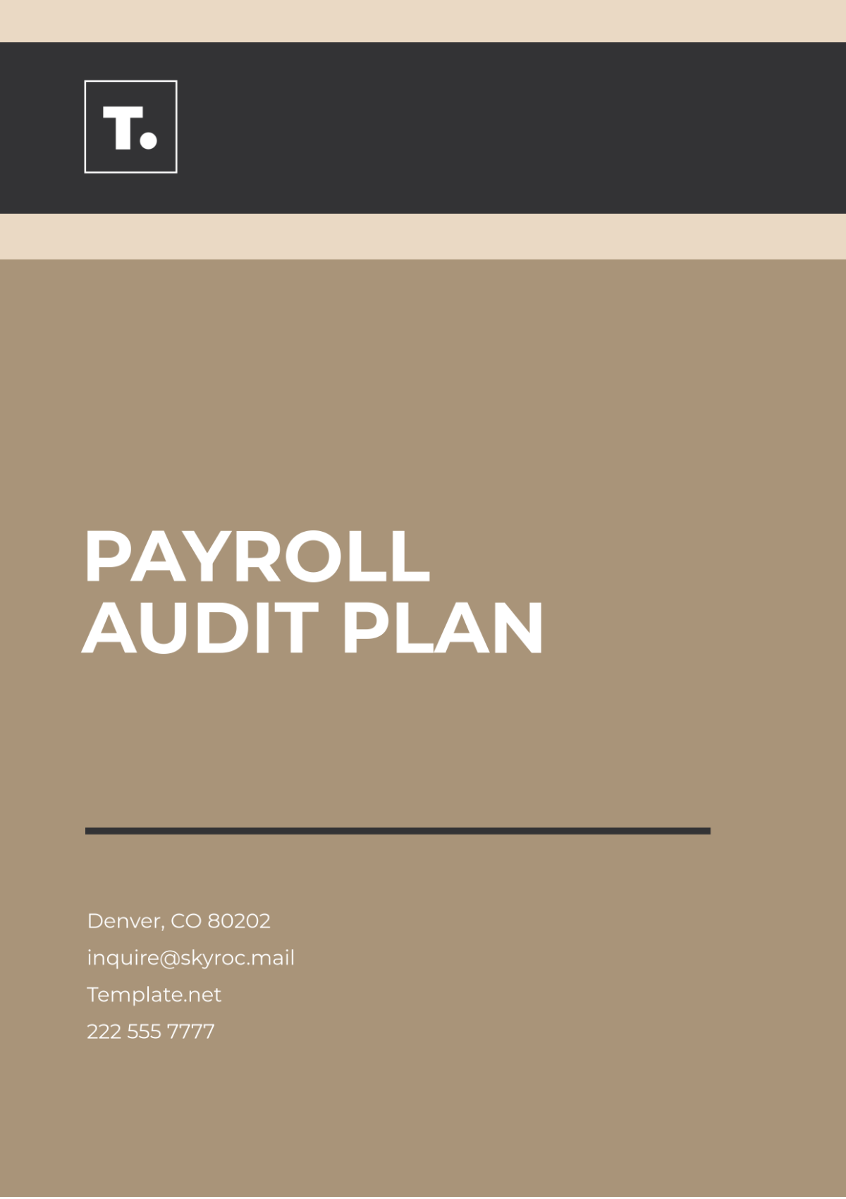 Payroll Audit Plan Template - Edit Online & Download