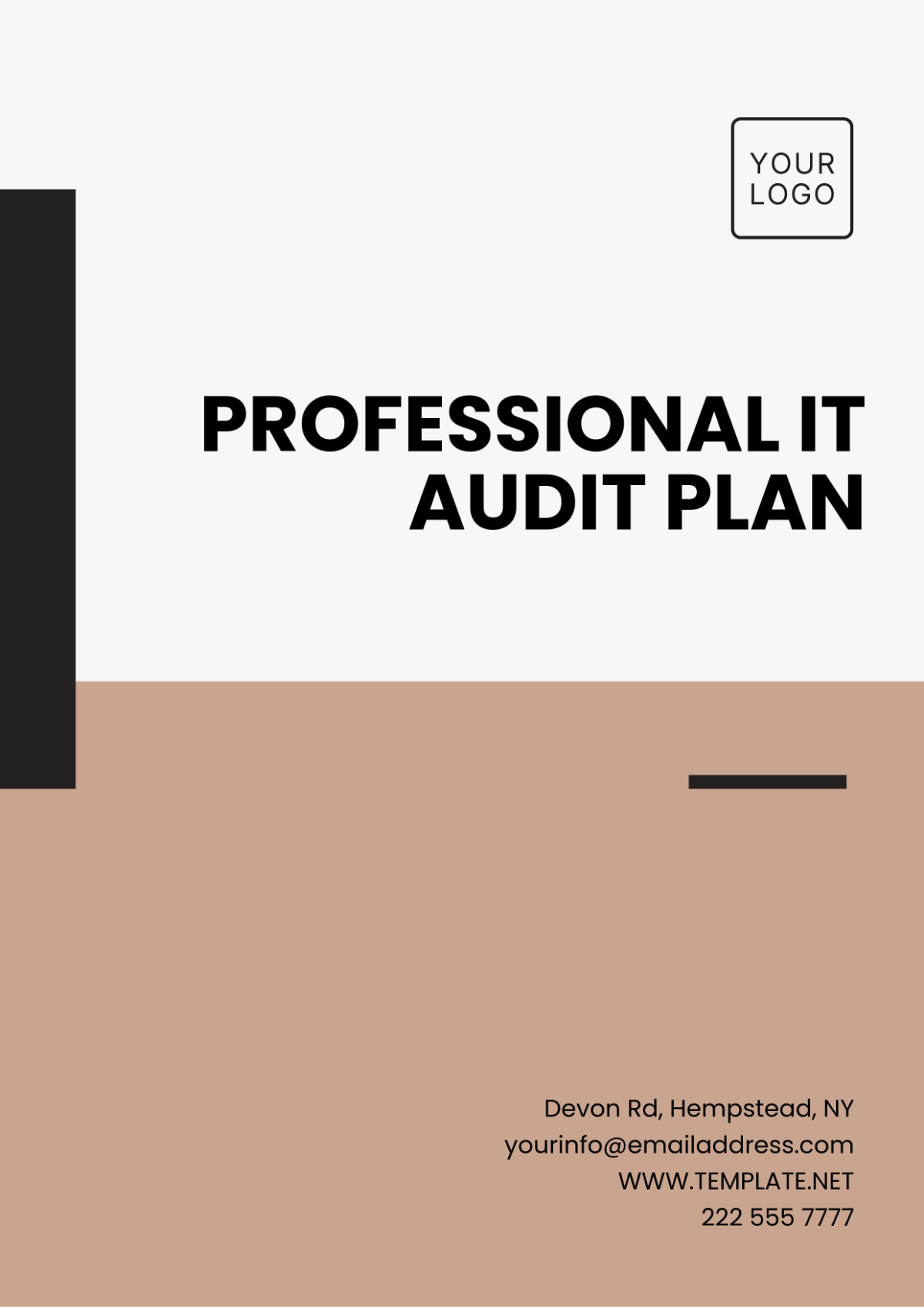 Professional IT Audit Plan Template