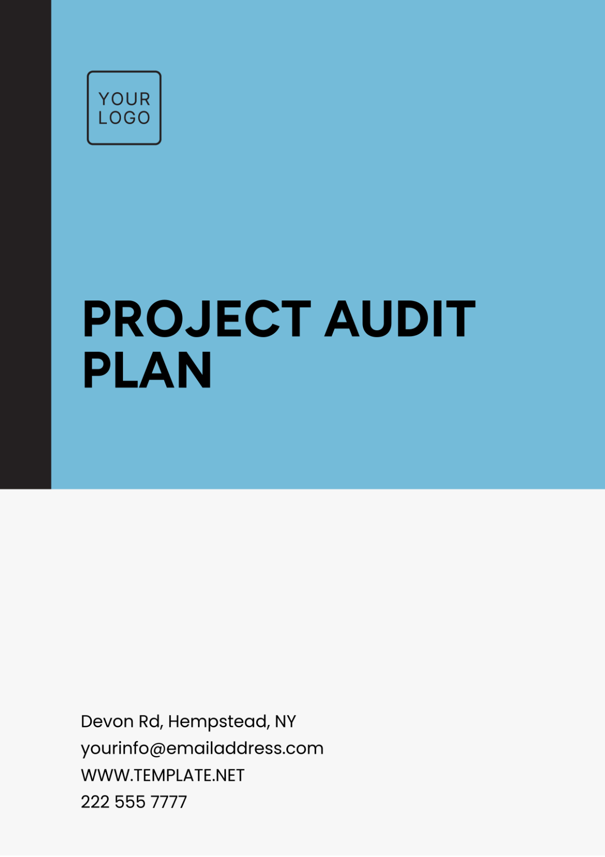 Project Audit Plan Template