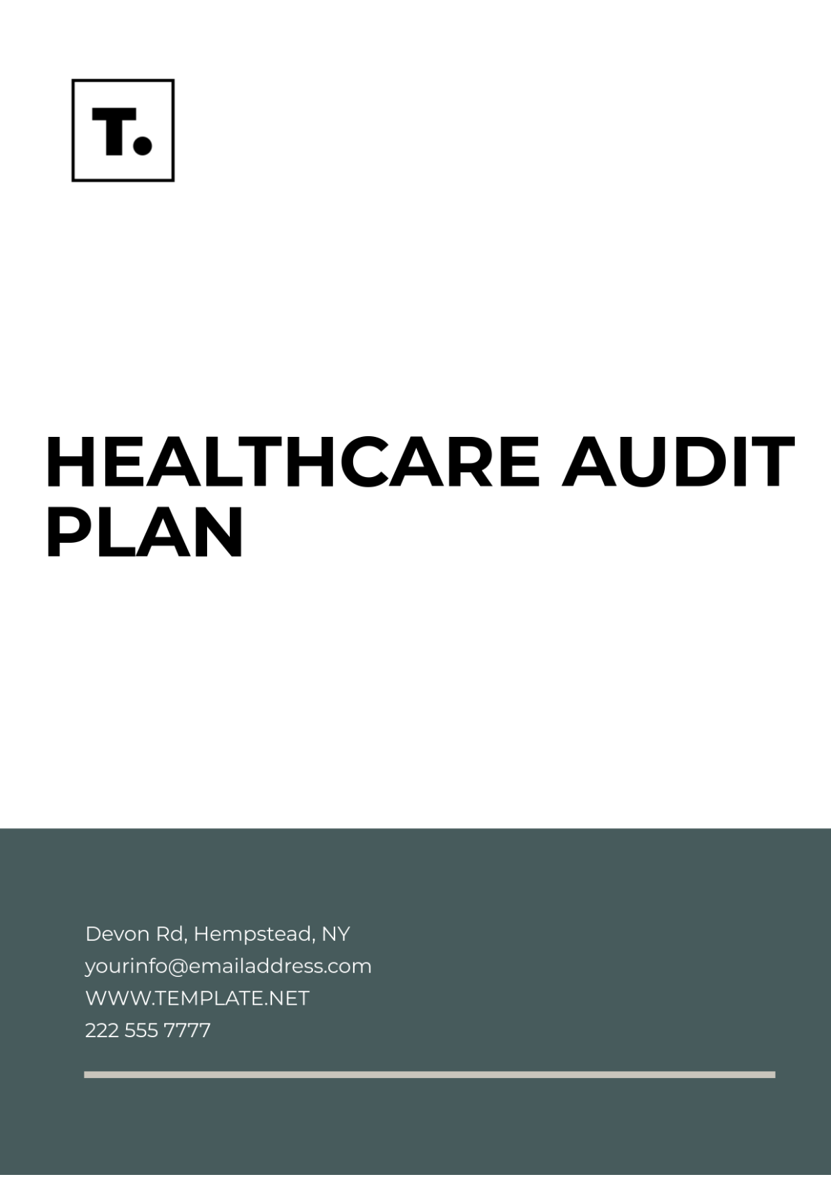 Healthcare Audit Plan Template