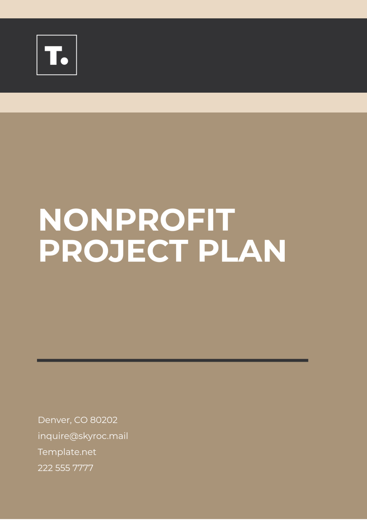 Nonprofit Project Plan Template - Edit Online & Download