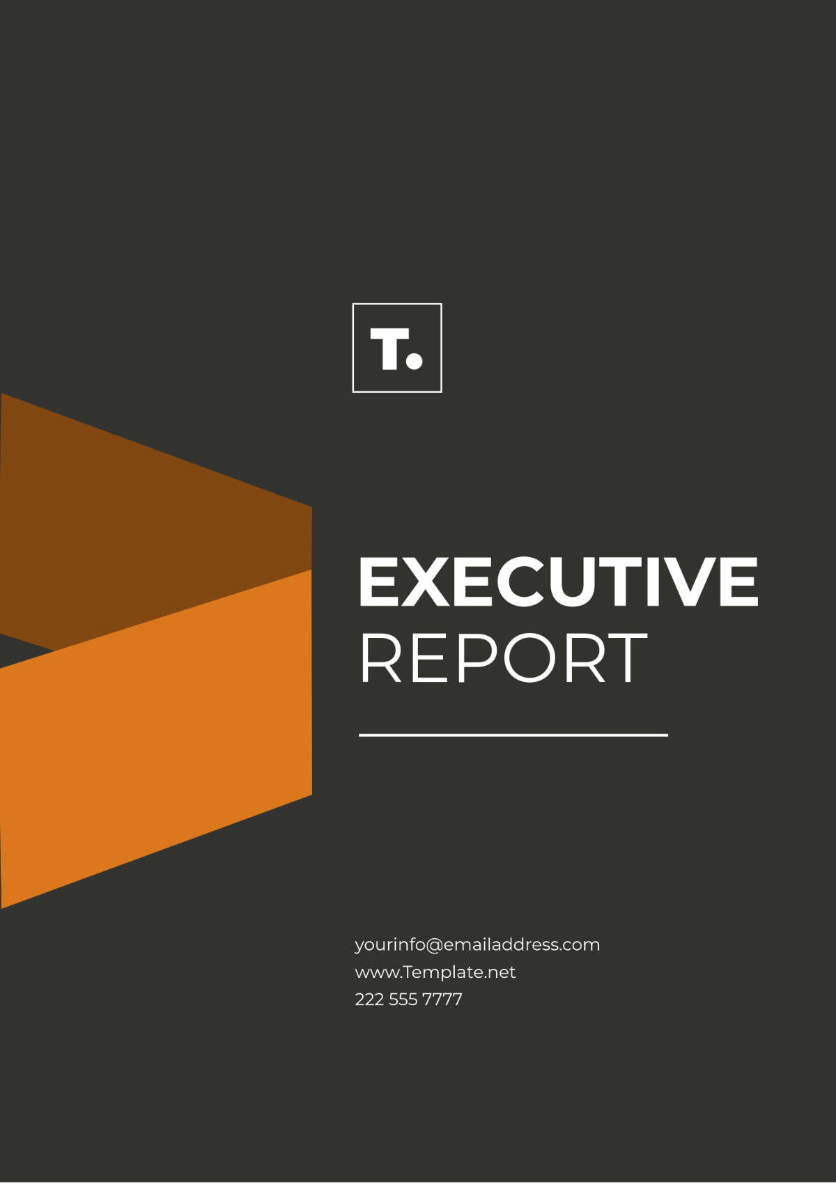 Executive Report Template - Edit Online & Download