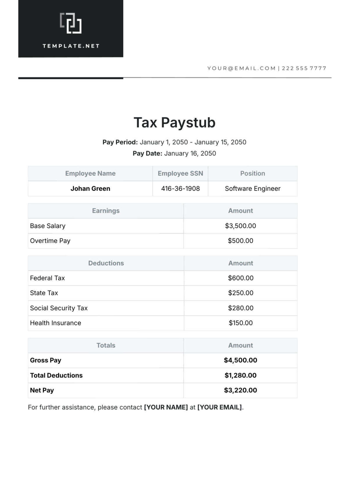 Tax Paystub Template - Edit Online & Download