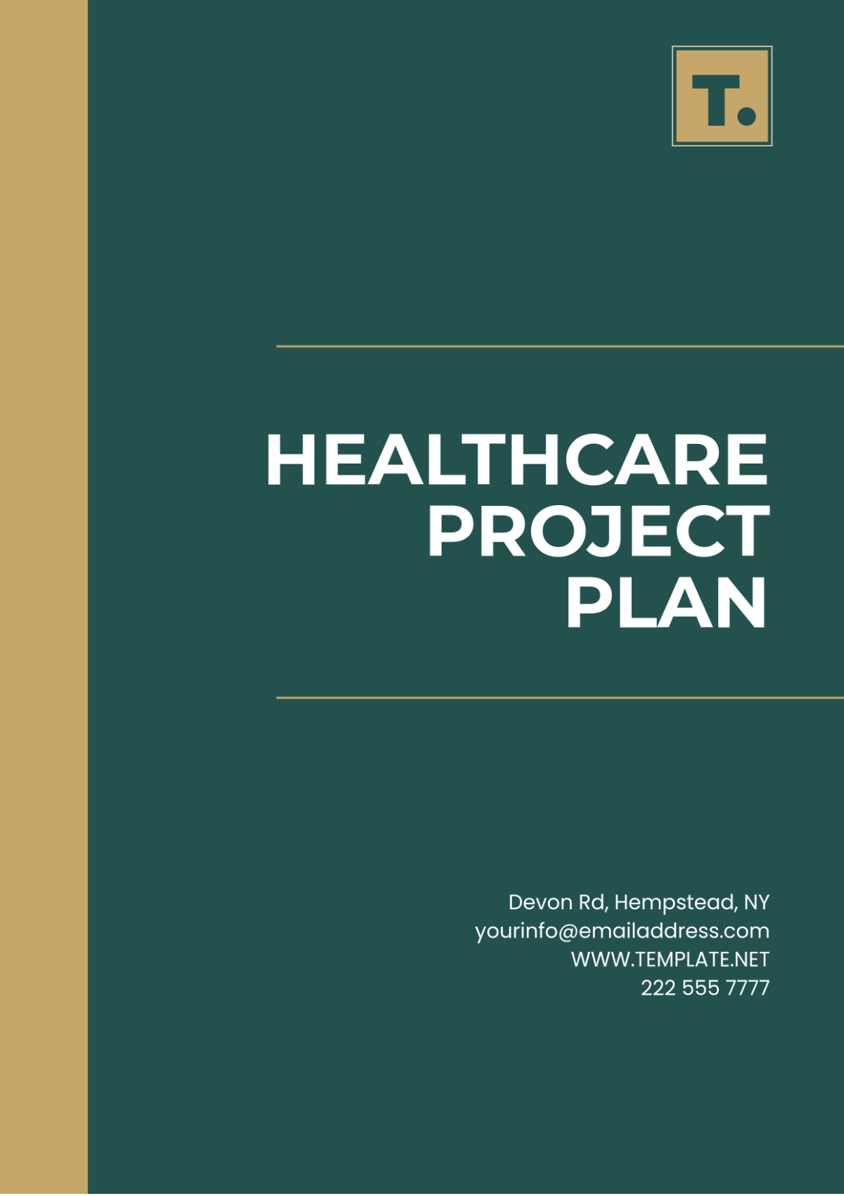 Healthcare Project Plan Template