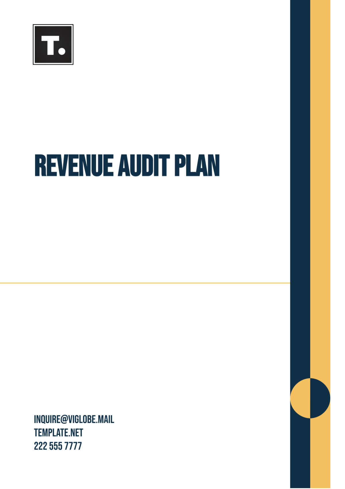 Revenue Audit Plan Template